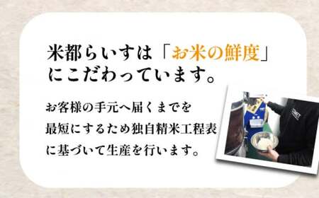 菊鹿 棚田米 20kg 【ミヤタ 株式会社 】熊本 精米 熊本 白米 ごはん [ZAH003]