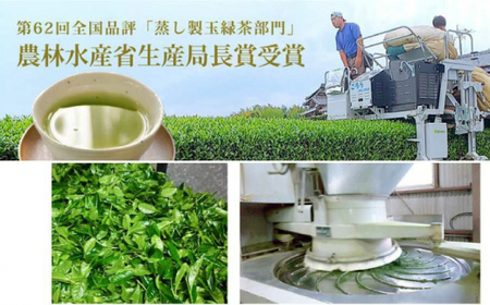 深蒸し茶 特選 ・ 特上茶 詰合せ 100g×8本セット 【有限会社 佐とう製茶】[ZAS003]