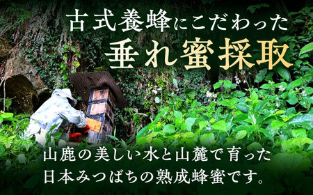 日本みつばち菊鹿約405g【山麓はっち】[ZBM010]