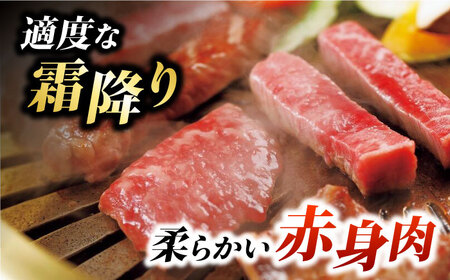 くまもとあか牛 サーロイン ステーキ 約400g[ZBV002]