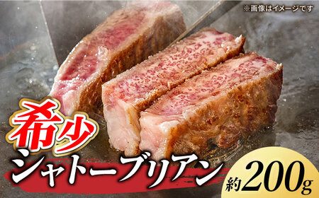 くまもと あか牛 希少部位 詰め合わせB計約600g[ZBV006]
