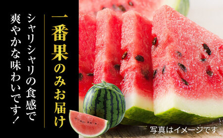 熊本スイカ先行予約 大玉すいかLサイズ西瓜スイカZCM001