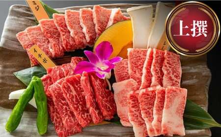 和王 上撰 焼肉 セット 【マイライフホールディングス 株式会社 】[ZCF007]