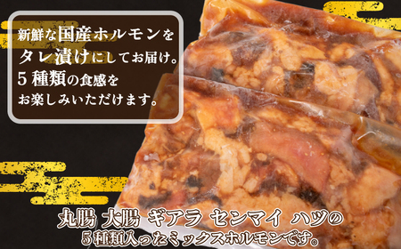 国産ホルモン ミックス 1kg タレ ホルモン FI