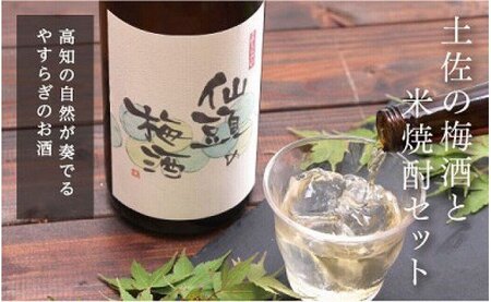土佐の梅酒と米焼酎セット 各720ml 