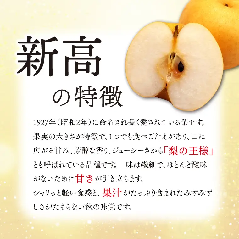 梨 新高 5kg 先行予約 2026年発送 仁平果樹園 益子町産 DB004