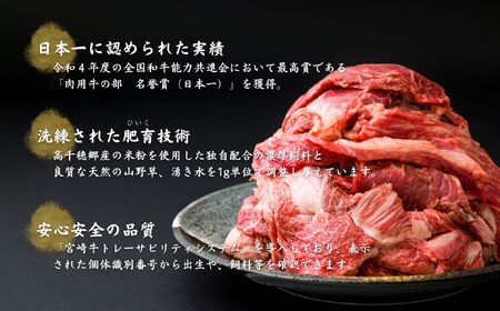 宮崎県産黒毛和牛A4等級以上 高千穂牛すじ 500g×2パック 計1kg牛肉 肉 お肉 精肉 ブランド牛 国産牛 黒毛和牛 国産 国産牛肉 料理 煮込み料理 カレー おでん 牛すじ煮込み 牛すじカレー 普段使い グルメ お取り寄せ 小分け ギフト プレゼント 宮崎県 高千穂町_Tk002-066