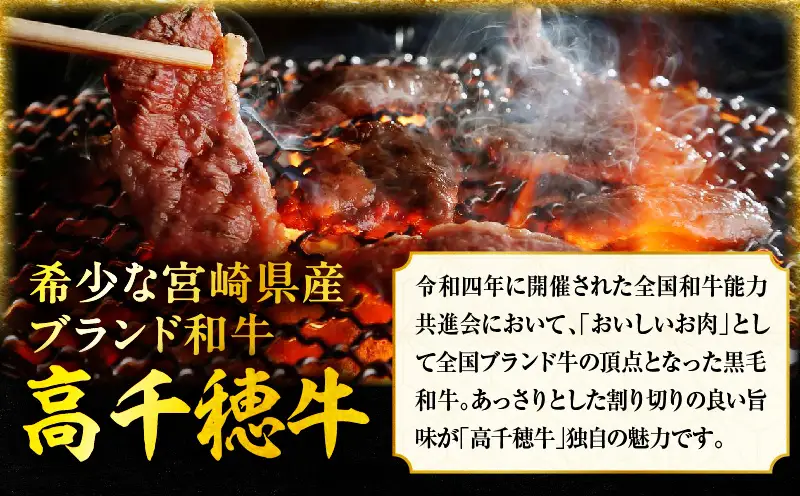宮崎県産黒毛和牛A4等級以上 高千穂牛バラ肉 500g 牛肉 肉 お肉 精肉 牛バラ A4 ブランド牛 国産牛 黒毛和牛 国産 国産牛肉 焼肉 炒めもの 料理 冷凍 アウトドア キャンプ グランピング BBQ 一人焼肉 _Tk002-068