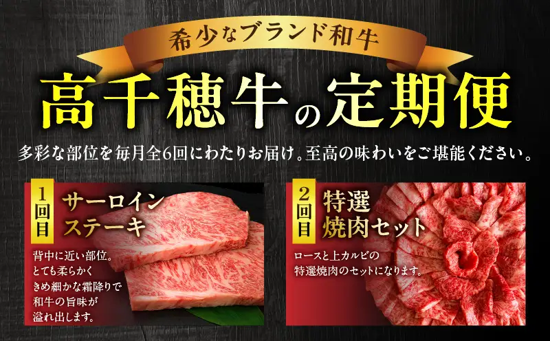 宮崎県産黒毛和牛A4等級以上 高千穂牛フルコース（6ヶ月定期便）牛肉 肉 お肉 精肉 定期便 サーロイン ステーキ 焼肉 BBQ ロース カルビ こま肉 小間切れ モモ ハンバーグ しゃぶしゃぶ すき焼き すきしゃぶ 薄切り スライス 国産 セット 詰め合わせ パーティー アウトドア キャンプ グランピング お祝い ギフト プレゼント_Tk002-t054