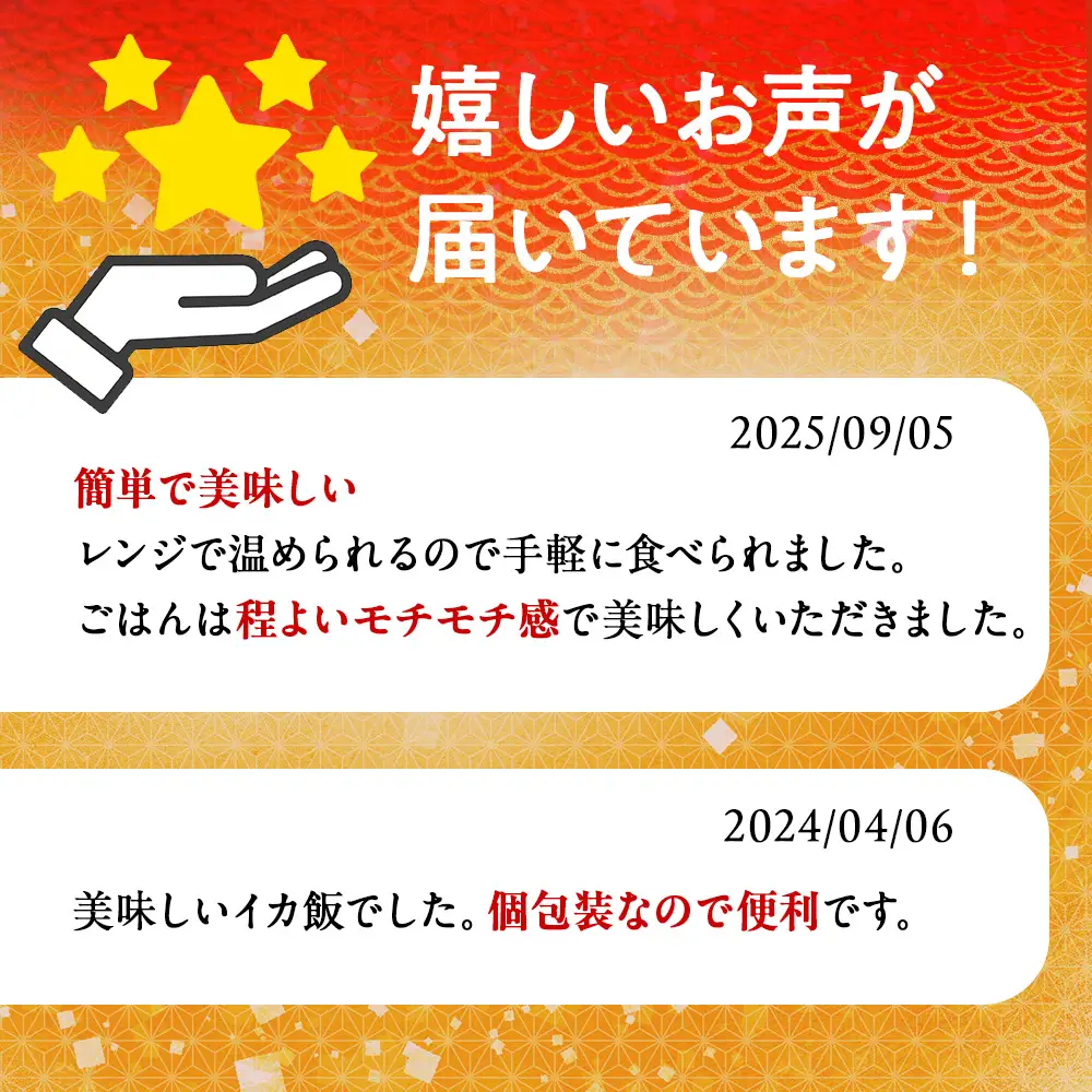 IKAｰMESHI 2個入5袋 いかめし