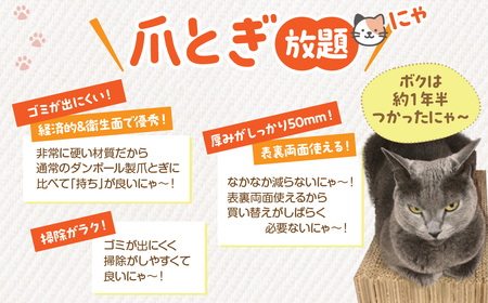 【長持ちする猫の爪とぎ】ズットモーツ 5個セット MROJ003