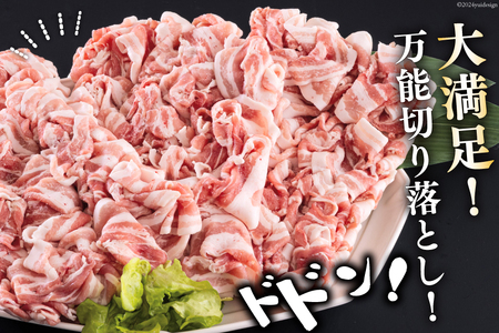 宮崎県産 豚バラ しゃぶしゃぶ 切落し 500g×3 計1.5kg [サンアグリフーズ 宮崎県 美郷町 31ba0031]