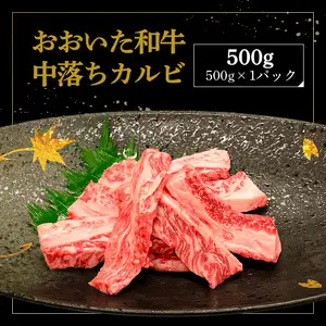 厳選A4～A5等級 おおいた和牛 中落ちカルビ 500g A01133