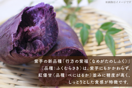AE-68【行方かんしょ】『天皇杯受賞』　JA産　「冷凍焼き芋」（行方の紫福1本入×10袋）