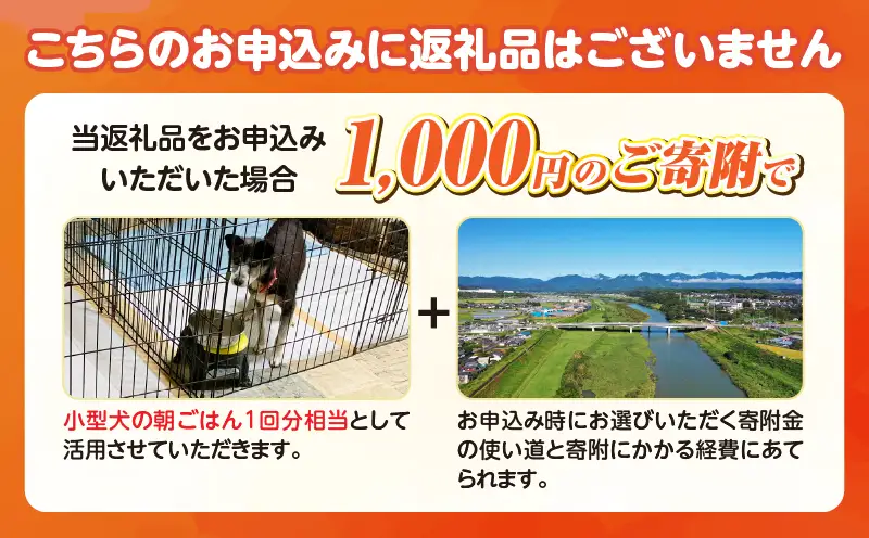 保健所犬猫レスキュー【返礼品なしのご寄附】