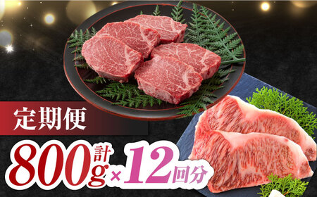 【12回定期便】佐賀牛 ヒレステーキ＆サーロインステーキ 食べ比べ セット 計9.6kg  (ヒレ150g・サーロイン250g×各2枚×12回) 吉野ヶ里町 佐賀牛 ヒレ サーロイン ステーキ 牛肉 肉 ブランド牛 [FDB038]