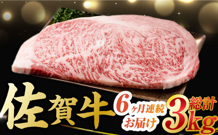 【6回定期便】 艶さし！ 佐賀牛 サーロインステーキ 計3kg (250g×2枚×6回) 吉野ヶ里町 佐賀牛 牛肉 肉 国産 ブランド牛 サーロイン ステーキ [FDB040]