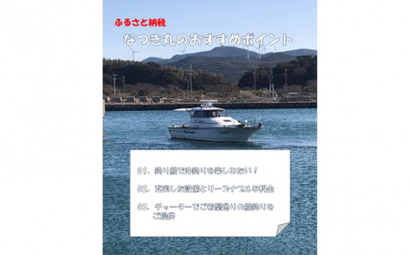 DS-009 遊漁船なつき丸 乗船チケット 相乗り（1名様）