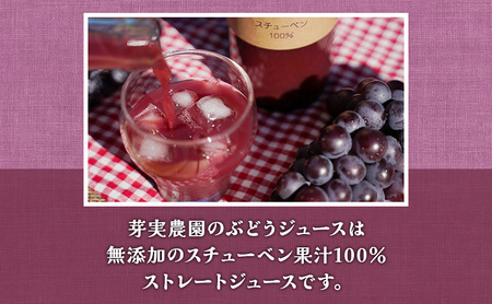 芽実農園のぶどうジュース（スチューベン100％）720ml×2本 青森県鶴田町産スチューベン使用 果汁飲料 無添加 果汁100％ ストレートジュース 