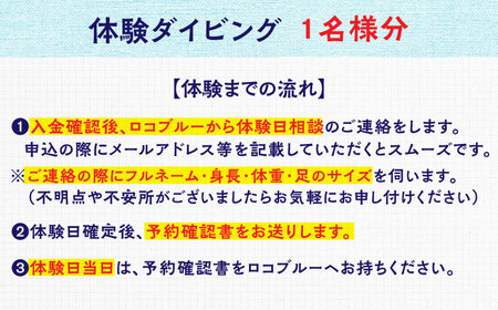 ダイビング 松江で海中散歩♪初心者でも安心の体験ダイビングプラン 島根県松江市/合同会社LOCOBLUE[ALFE001] ダイビング ダイビング