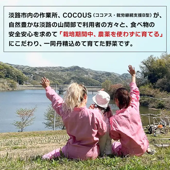 淡路島玉葱 5kg 【栽培期間中、無農薬栽培】サイズ混合SS～2L 玉ねぎ