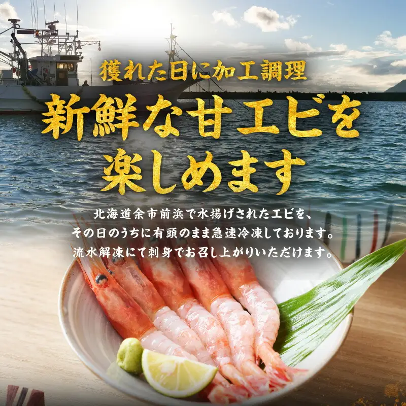 冷凍 ホッコクアカエビ （ 甘エビ ） 500ｇ エビ えび 海老 甘海老 殻付き おさしみ 刺身 生食 海鮮丼 唐揚げ おつまみ 冷凍 国産 海鮮 魚介 魚介類 ギフト 贈り物 お歳暮 父の日 お取り寄せ 北海道 余市町_Y006-0023