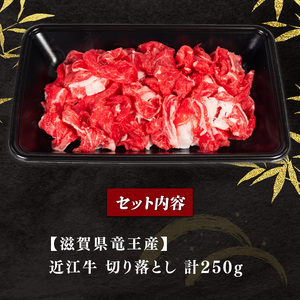 竜王町産近江牛 牛肉切落し 250g / 牛肉切り落とし[E501_N1_6] 6月発送
