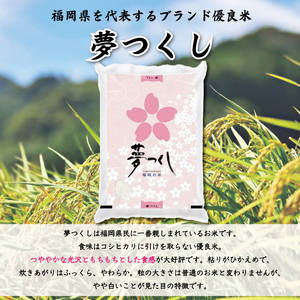 【ふるさと納税】令和6年産 福岡県産夢つくし無洗米5kg(5kg×1) [a7193] 株式会社 藤食糧 【返礼品】添田町 ふるさと納税