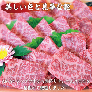 【ふるさと納税】博多和牛 A5～A4 肩ロース ミニ ステーキ 400g ソース・塩胡椒付 化粧箱入 [a9236] 株式会社マル五 ※配送不可：離島【返礼品】添田町 ふるさと納税
