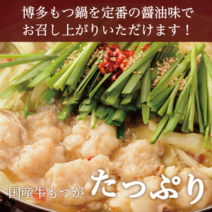 【ふるさと納税】もつ鍋 醤油味 2人前×2セット(合計4人前)〆はマルゴめん 福岡県産の米粉麺付き [a9216] 株式会社マル五 ※配送不可：離島【返礼品】添田町 ふるさと納税
