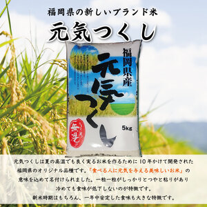 【ふるさと納税】令和6年産 福岡県産元気つくし無洗米25kg(5kg×5) [a7198] 株式会社 藤食糧 【返礼品】添田町 ふるさと納税