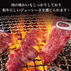 【ふるさと納税】A5 A4 等級使用 博多和牛 ロース 焼肉用 500g [a9189] 株式会社チクゼンヤ ※配送不可：離島【返礼品】添田町 ふるさと納税
