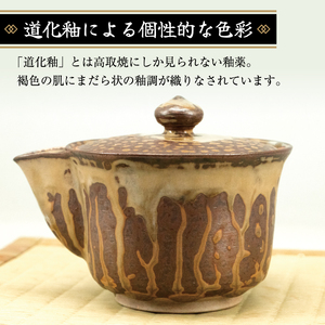 【ふるさと納税】高取焼 宝瓶(道化釉・煎茶用急須) [a9176] 高取焼 比古窯 【返礼品】添田町 ふるさと納税