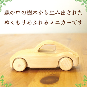 【ふるさと納税】木のくるまー森の贈り物ー [a9121] ローカルズ55.LLP 【返礼品】添田町 ふるさと納税