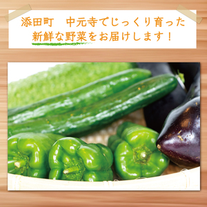 【ふるさと納税】中元寺 旬の実り 野菜 セット(旬の野菜 7～9種類程度) [a9010] 中元寺みらい農業株式会社 ※配送不可：北海道・東北・沖縄・離島【返礼品】添田町 ふるさと納税