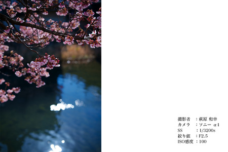 SIGMA 50mm F1.4 DG DN | Art 【Lマウント】