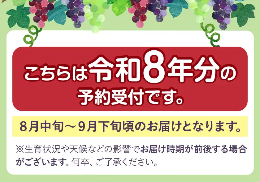 【数量限定】シャインマスカット 2kg以上 3房以上 先行予約 数量限定 直鞍農業協同組合 営農センター 《8月中旬-9月中旬頃出荷》 シャインマスカット マスカット 果物 フルーツ 送料無料