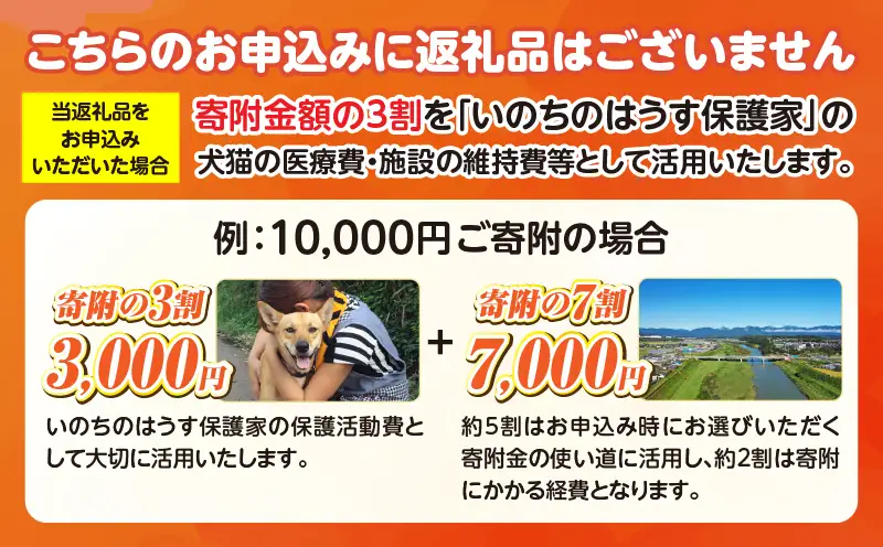 保健所犬猫レスキュー【返礼品なしのご寄附】