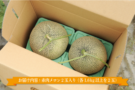《2026年分受付中》≪数量限定！≫のみやまファームの赤肉メロン「美暁」（各1.6kg以上を2玉）【01167】