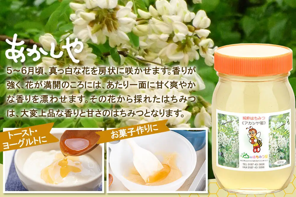 国産 はちみつ アカシヤ 600g 2本セット 山のはちみつ屋