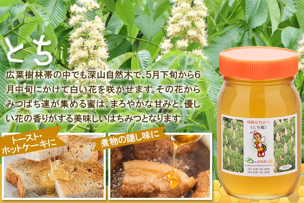 国産 はちみつ トチ 600g 山のはちみつ屋