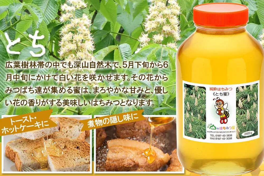 国産 はちみつ トチ 2400g 山のはちみつ屋