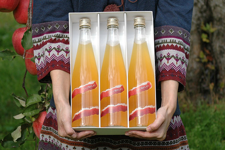 りんご贅沢しぼり500ml（3本入り） 100％ストレート りんごジュース リンゴ 果汁 林檎 飲料 アップル 果物 フルーツ 青森 飲み物 ドリンク