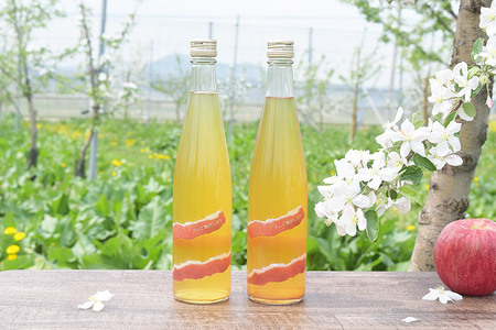 りんご贅沢しぼり 500ml×2本 スパークリング 500ml×1本 計3本セット りんご果汁100％ りんごジュース リンゴ 果汁 林檎 飲料 アップル 果物 フルーツ 青森 飲み物 ドリンク