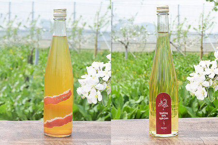 スパークリング 500ml×1本＆りんごジュース 500ml×1本＆りんごジャム 150g×3個のギフトセット リンゴ 果汁 林檎 飲料 アップル 果物 フルーツ 青森 飲み物 ドリンク