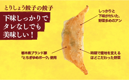 【とりしょう】餃子　24個入り×2箱【 ぎょうざ 冷凍餃子 冷凍食品 惣菜 栃木県 宇都宮市 】 ※着日指定不可 ※北海道・沖縄・離島への配送不可