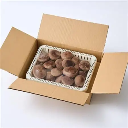 贈答品用椎茸かご盛りセット【配送不可地域：離島】【1201244】