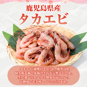 数量限定！タカエビ(約1kg・30～50尾)国産 えび 海老 海鮮 魚介 甘エビ 甘えび 冷凍 期間限定【松永青果】akn053-23