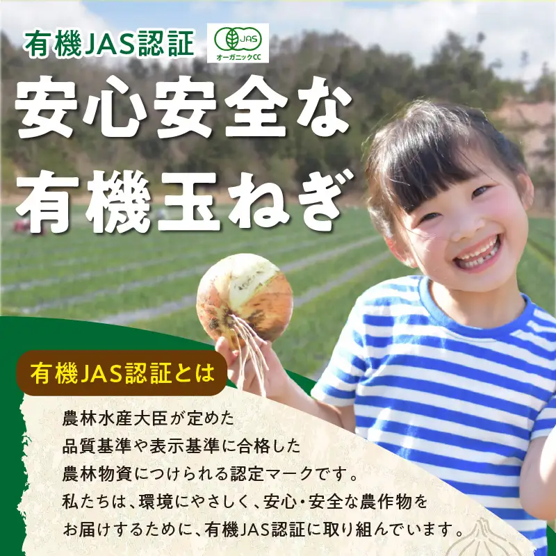【先行予約】有機玉ねぎ 5kg【有機JAS取得】（2026年6月上旬～発送）