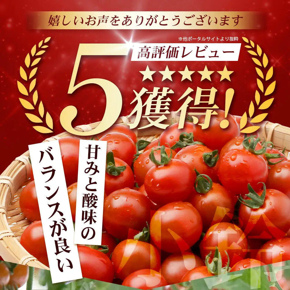 田淵さんちの美味しい ミニトマト 小鈴（約1kg）GP-708｜野菜 トマト ミニトマト 産地直送 ミニトマト 新鮮 トマト 南大隅町産 ミニトマト おいしい ミニトマト